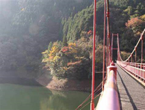 鱒淵橋からの風景.png