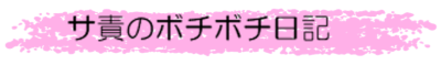 ボチボチ日記.png