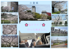 0桜ドライブ2024.4.png