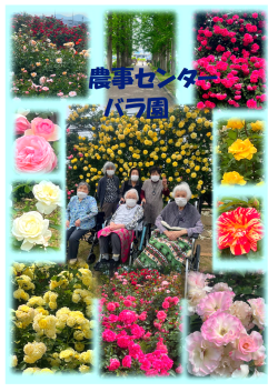 0バラ園2025.6（湯川デイ）.png