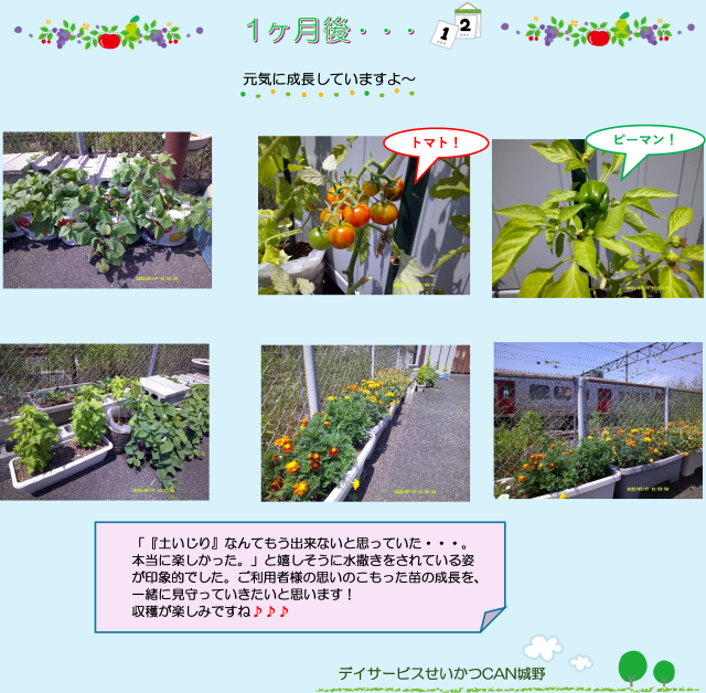 苗植え③.png