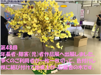 0イチョウの木2025.10（湯川デイ）.png